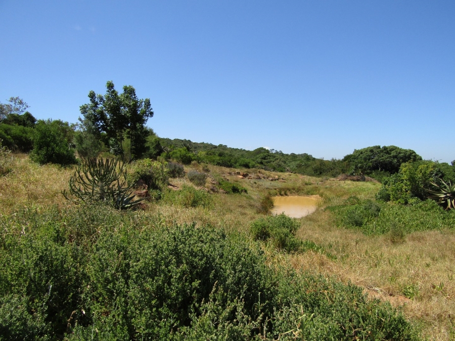 0 Bedroom Property for Sale in Humansdorp Rural Eastern Cape